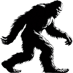 Squatch SEO: Technical SEO, Core Web Vitals & Accessibility Consulting